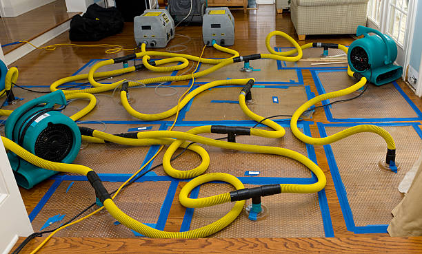 Professional Emergency Water Removal technician working in Baileyton, AL